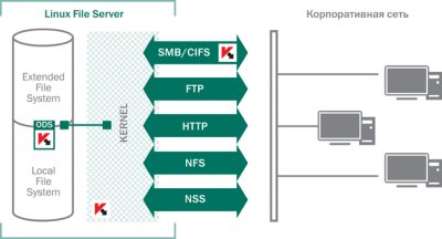 Вышел Антивирус Касперского 8.0 для Linux File Server