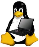 Lenovo выпустит ноутбуки с Linux – экспансия пингвинов