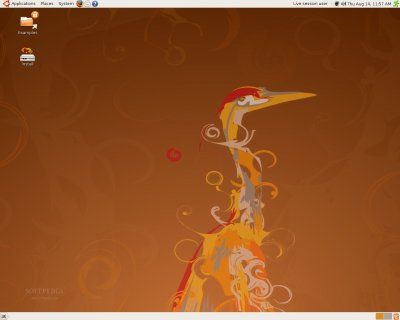 Завершена четвертая альфа-версия Ubuntu 8.10