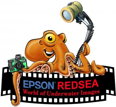 Конкурс подводной съемки Epson Red Sea