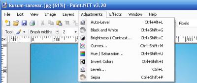 Paint.NET 3.20