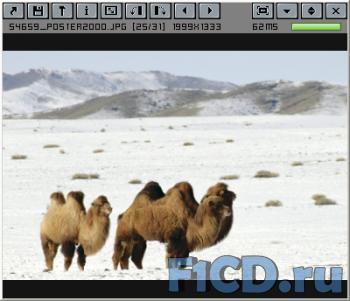 Aidsoid Viewer 3.01 