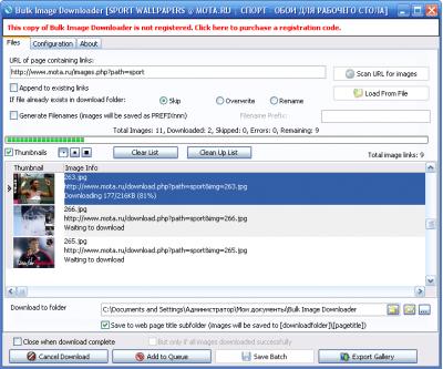 Bulk Image Downloader 1.24