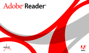 Adobe Acrobat Reader 8.1